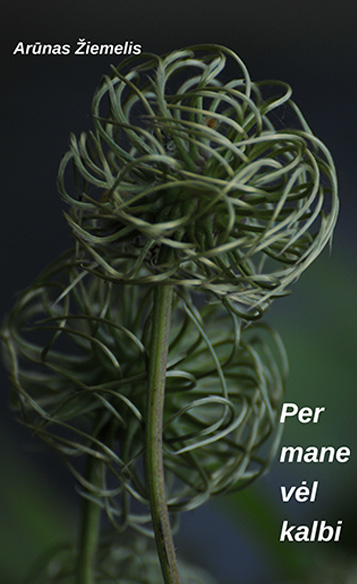 Arūnas Žiemelis - Per mane vėl kalbi
